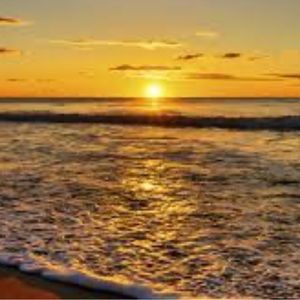 Meet your Posher, Life as syse